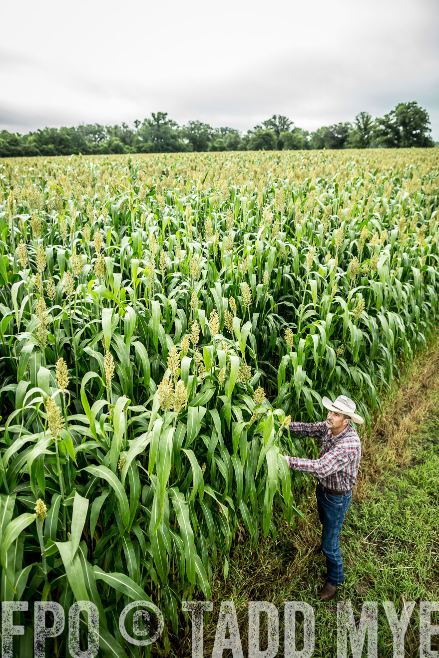 TMyers_CameronTX_June2014-0301