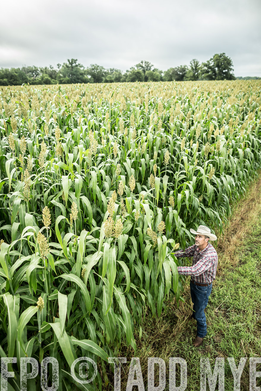 TMyers_CameronTX_June2014-0320