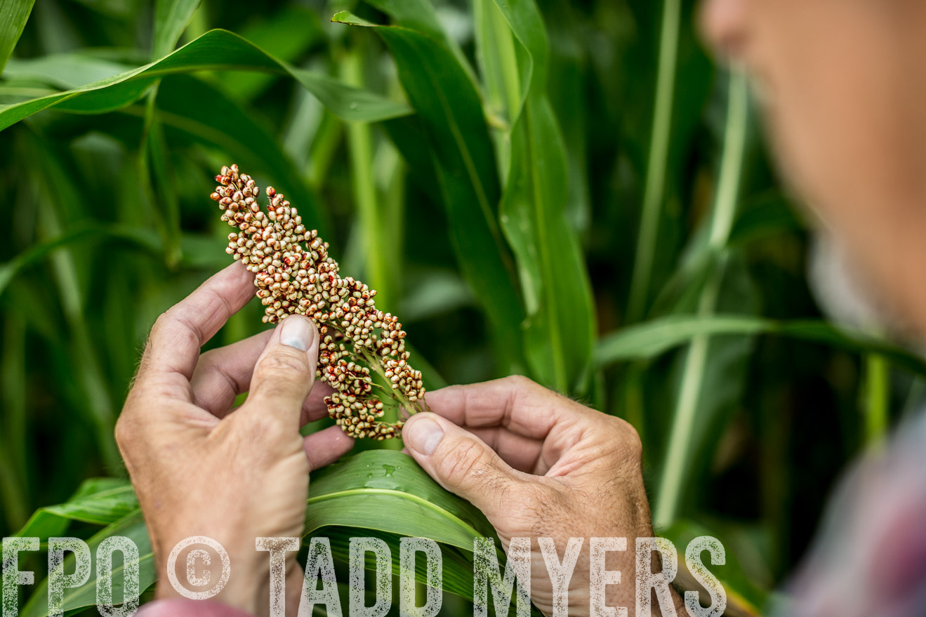 TMyers_CameronTX_June2014-0365