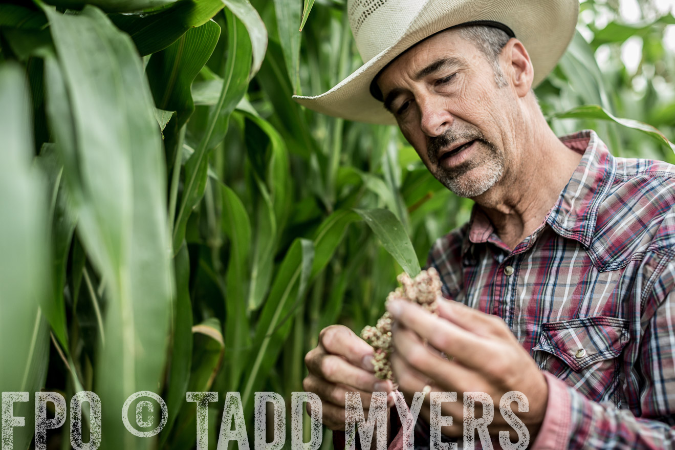 TMyers_CameronTX_June2014-0379