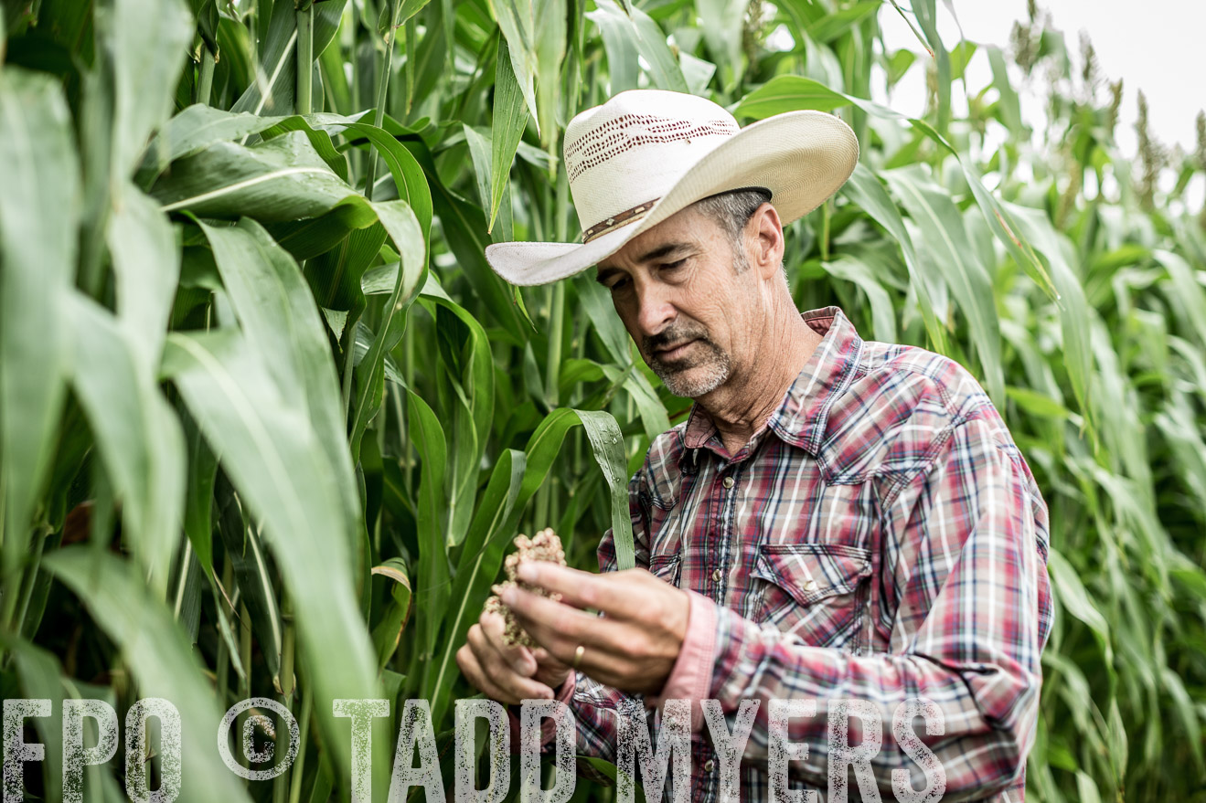 TMyers_CameronTX_June2014-0385