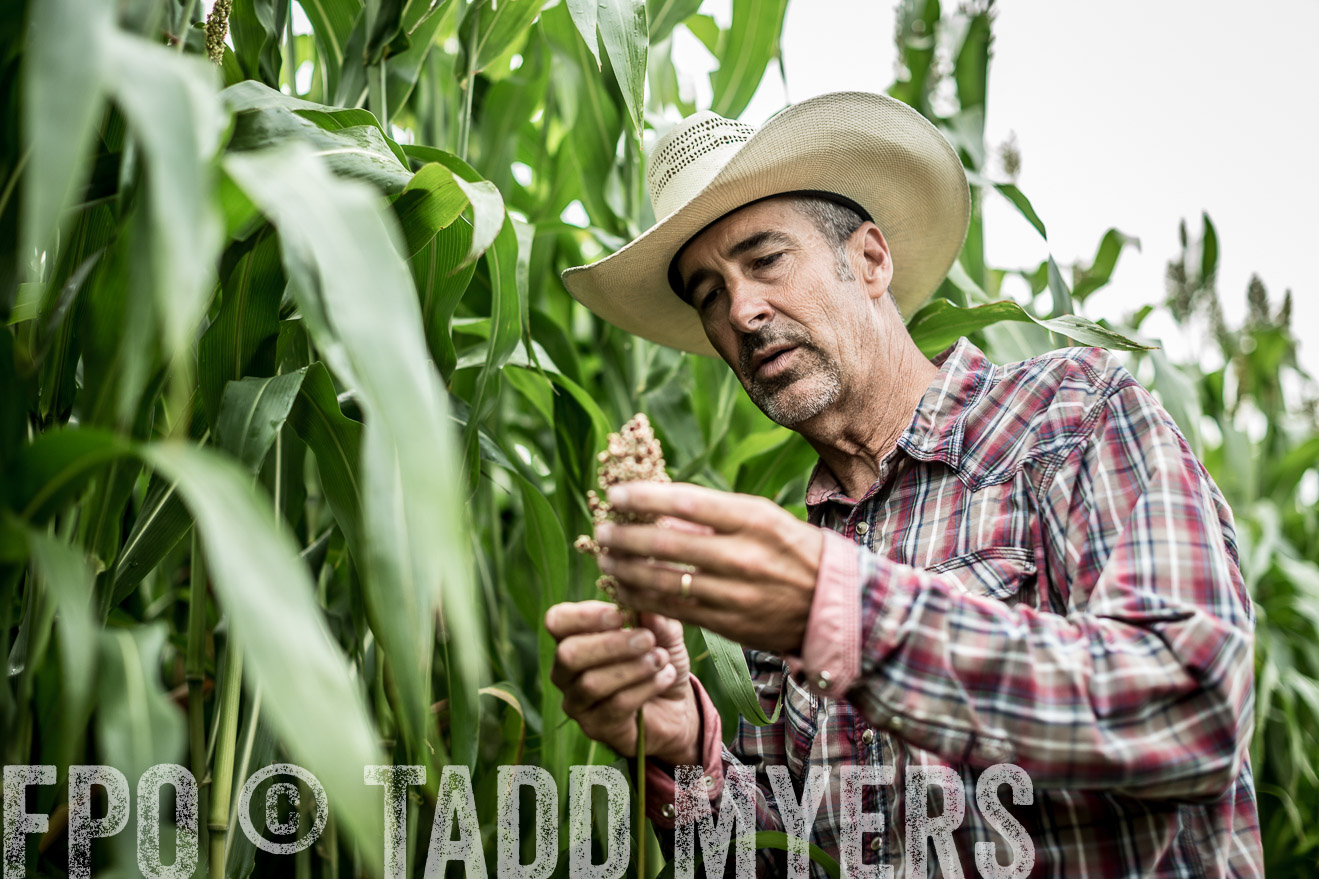 TMyers_CameronTX_June2014-0396