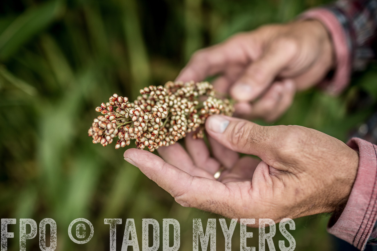 TMyers_CameronTX_June2014-0451