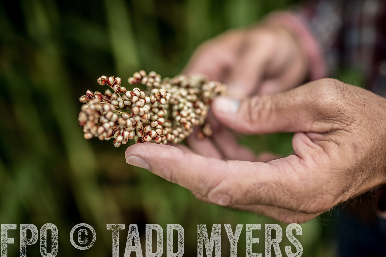 TMyers_CameronTX_June2014-0453