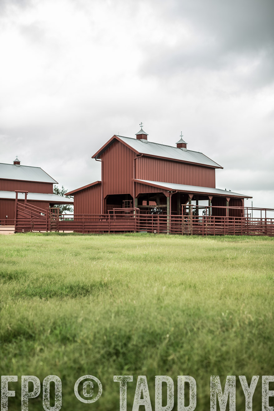 TMyers_CameronTX_June2014-0647