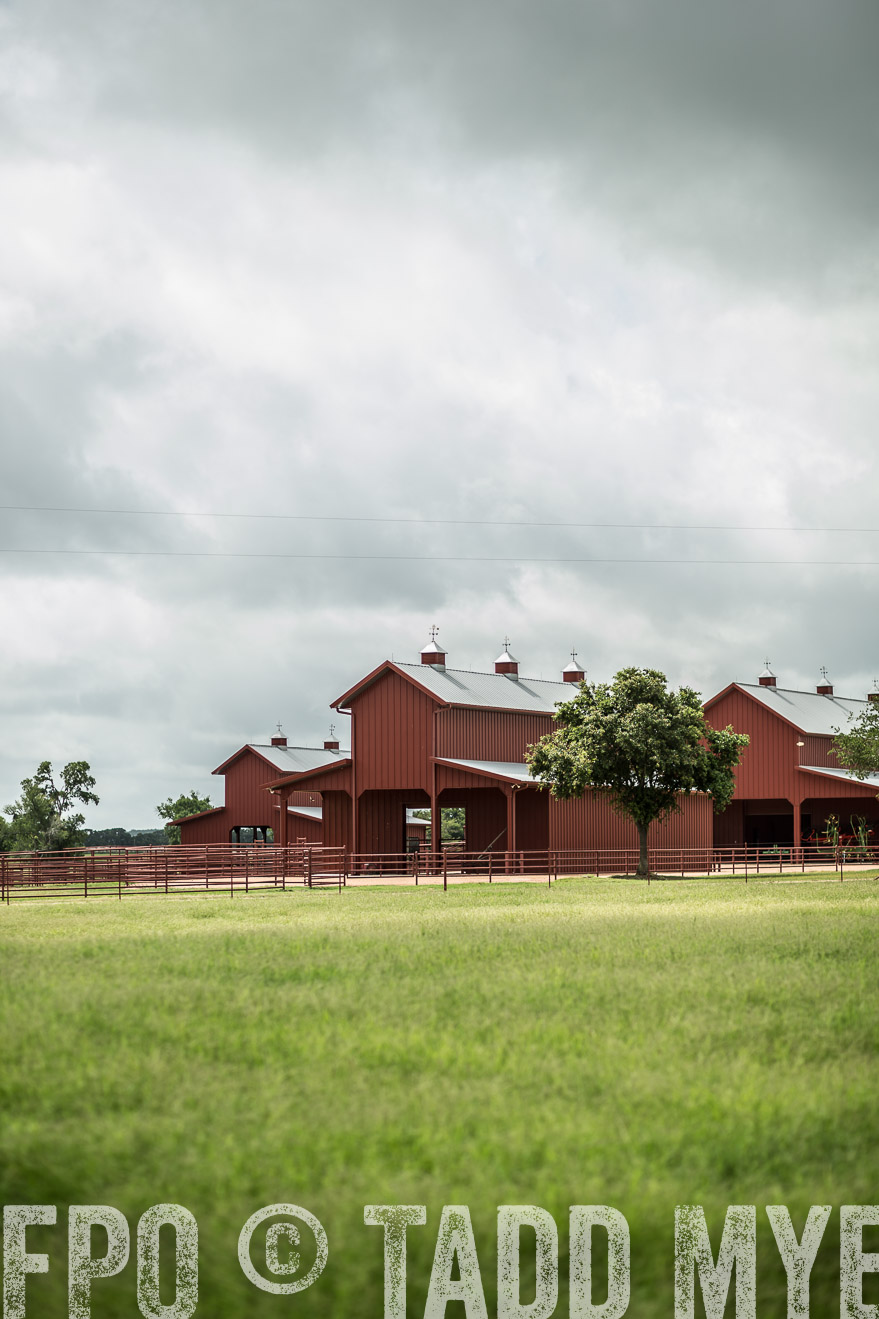 TMyers_CameronTX_June2014-0703