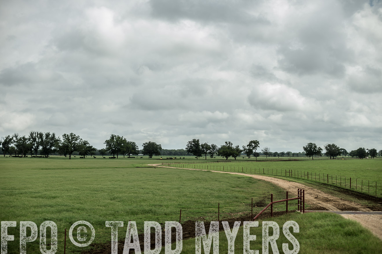 TMyers_CameronTX_June2014-0740