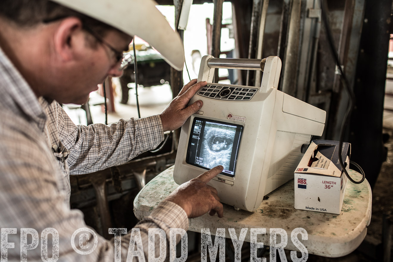 TMyers_CameronTX_June2014-0905