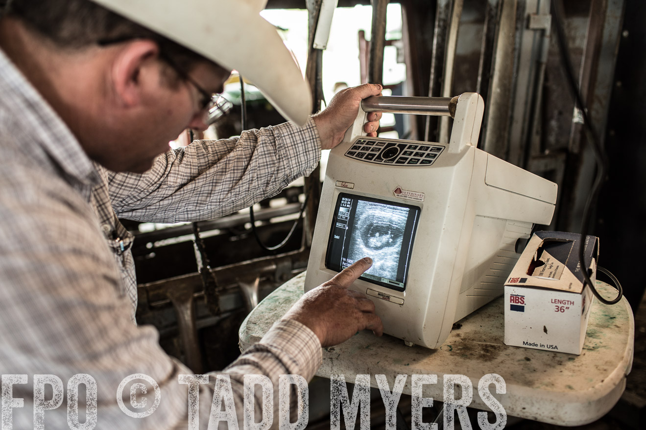TMyers_CameronTX_June2014-0912
