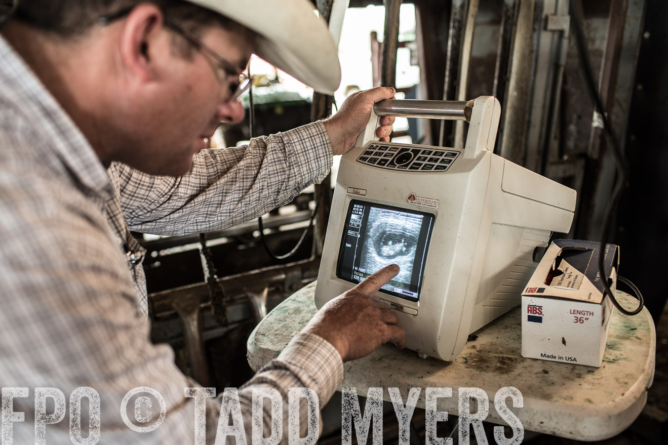 TMyers_CameronTX_June2014-0913