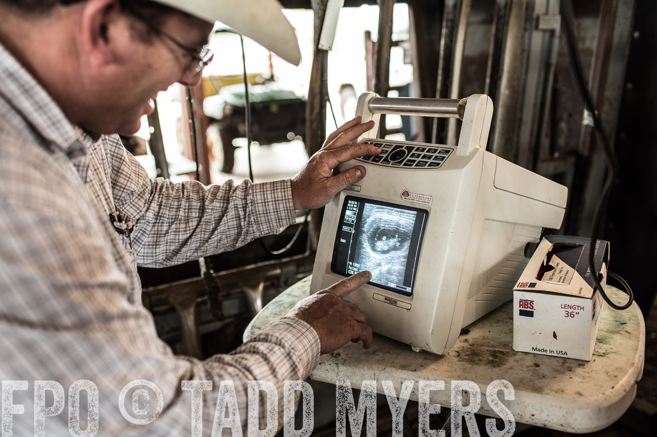 TMyers_CameronTX_June2014-0918