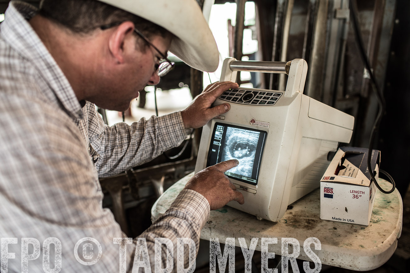 TMyers_CameronTX_June2014-0930