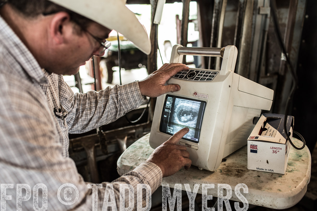 TMyers_CameronTX_June2014-0944