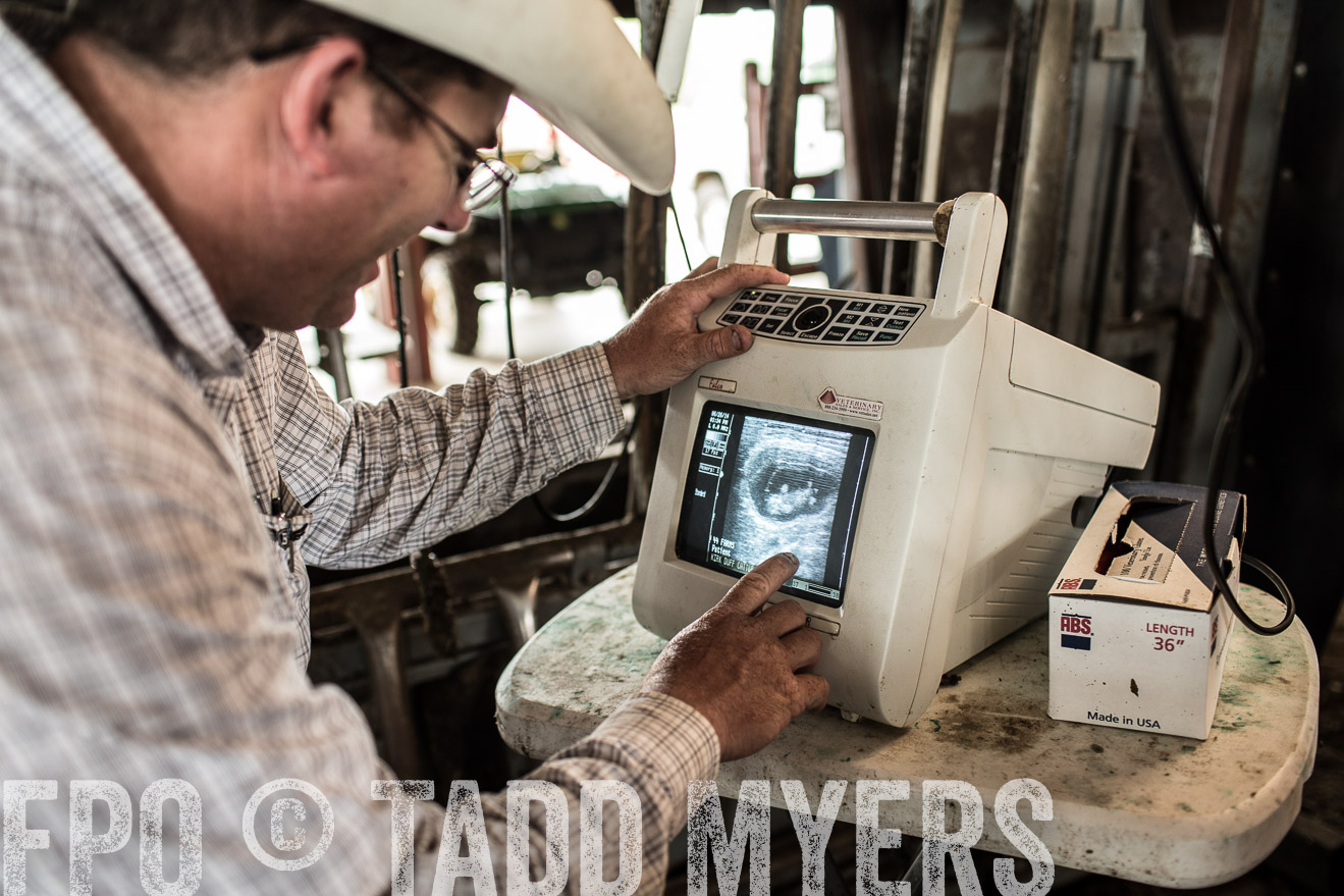 TMyers_CameronTX_June2014-0948