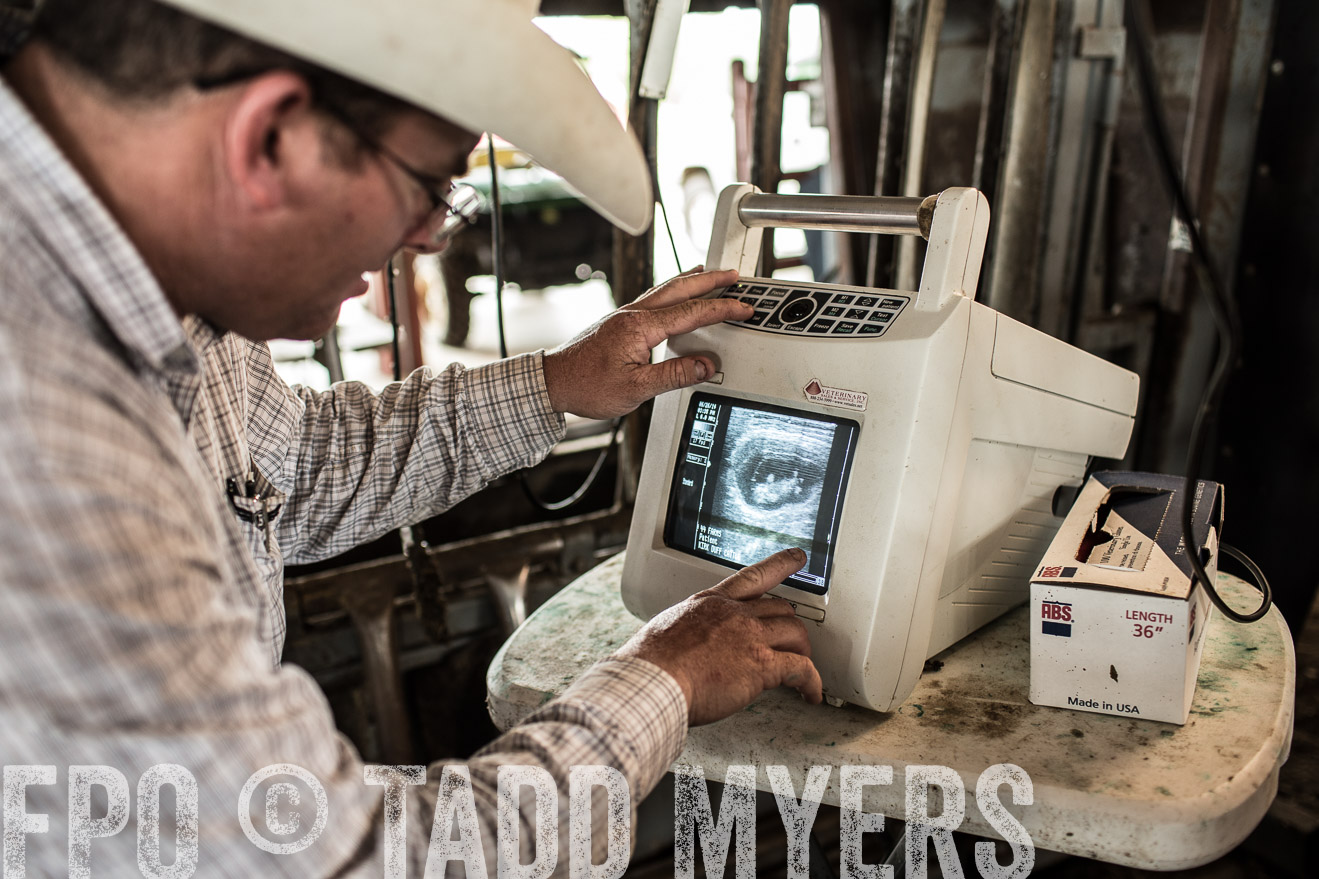 TMyers_CameronTX_June2014-0952