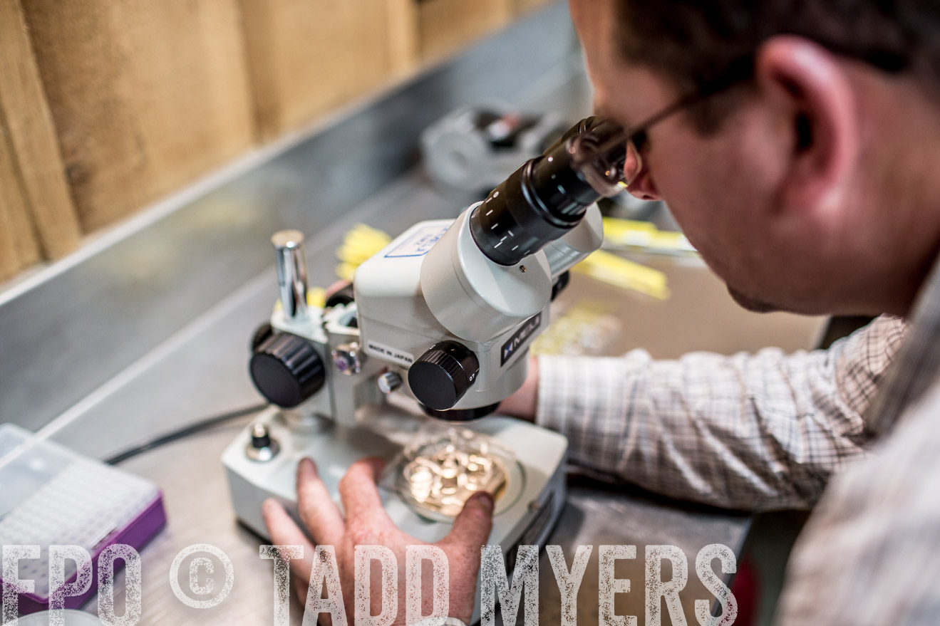 TMyers_CameronTX_June2014-0977