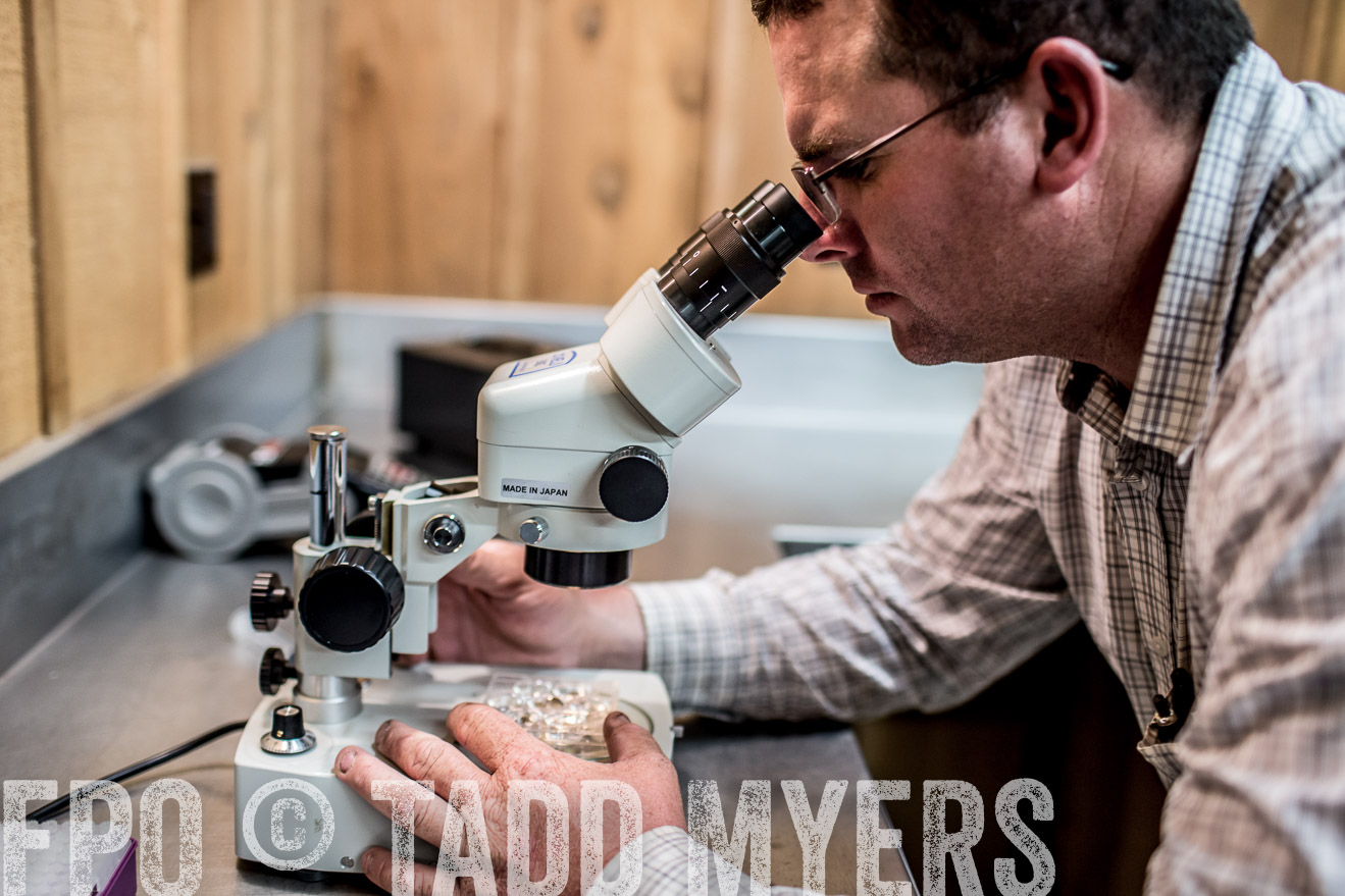 TMyers_CameronTX_June2014-1051