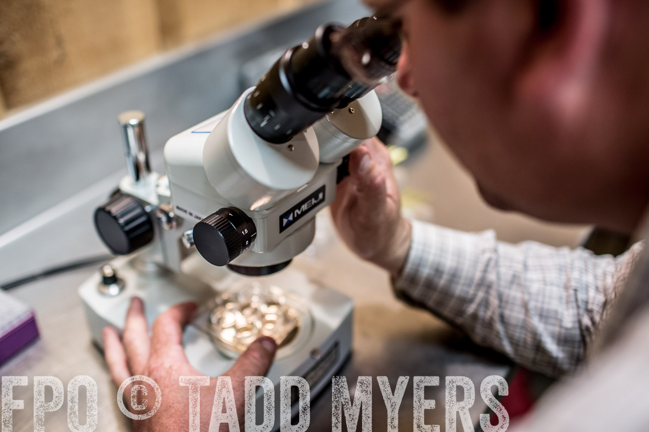 TMyers_CameronTX_June2014-1122