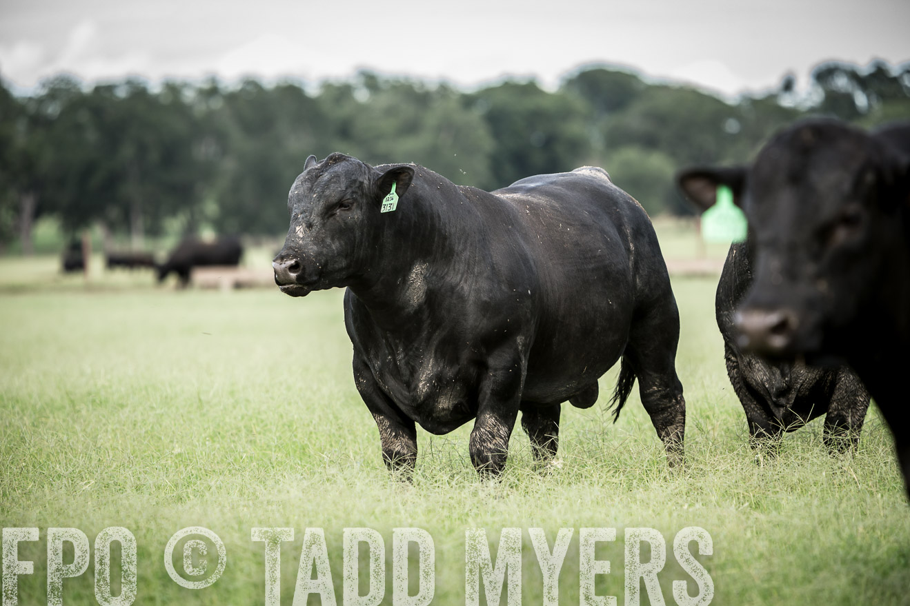 TMyers_CameronTX_June2014-1803