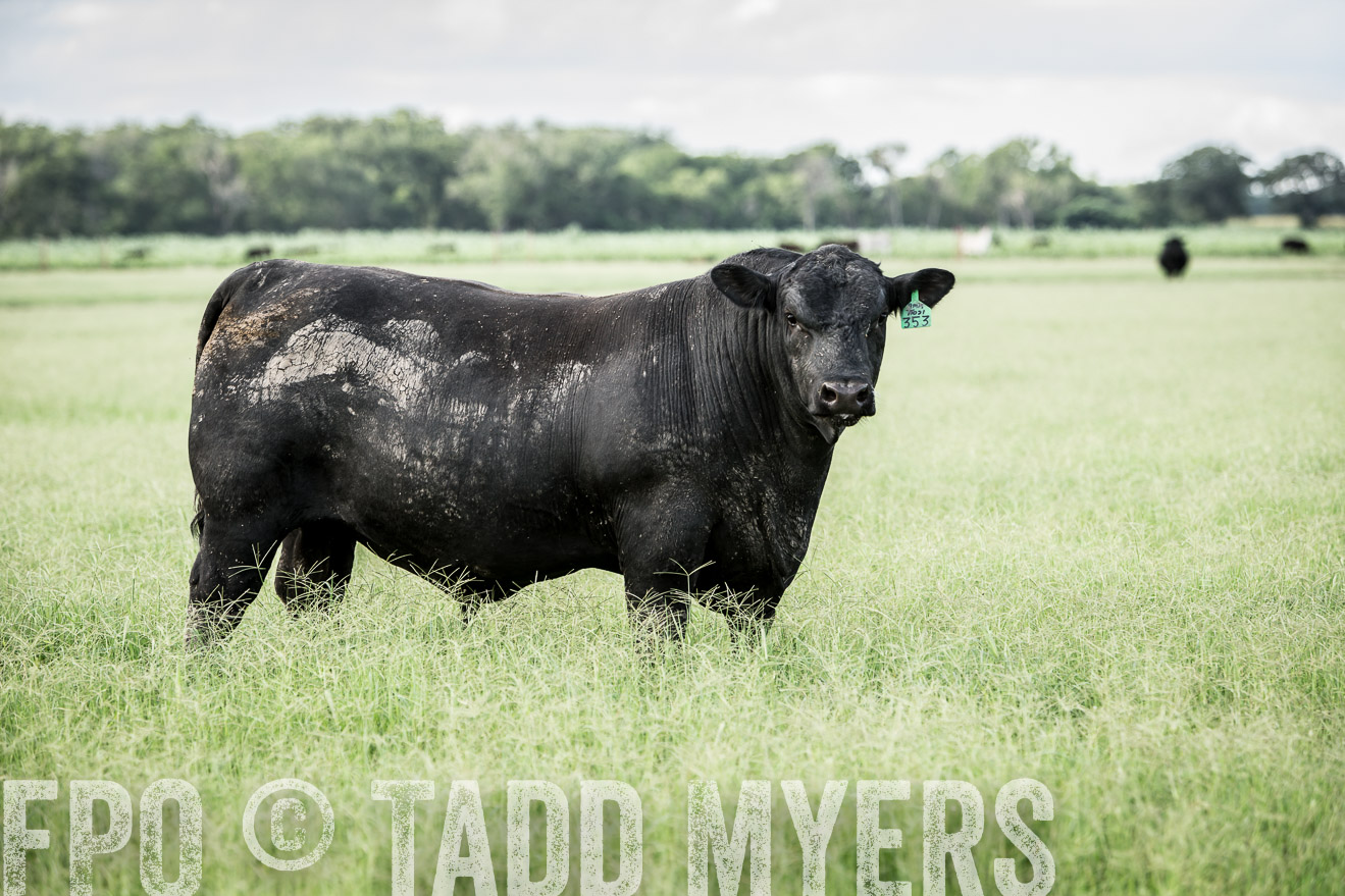 TMyers_CameronTX_June2014-1919