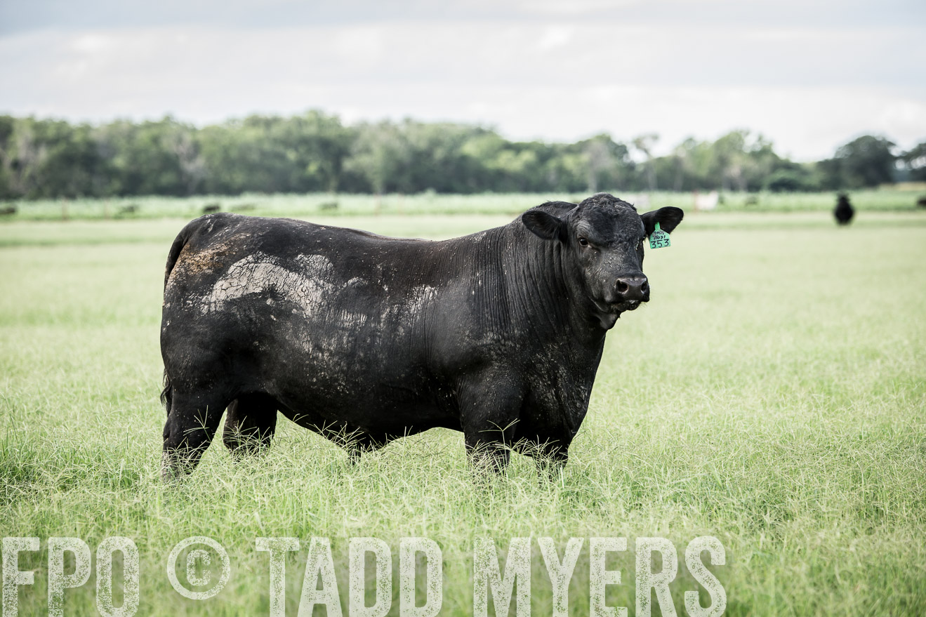 TMyers_CameronTX_June2014-1923