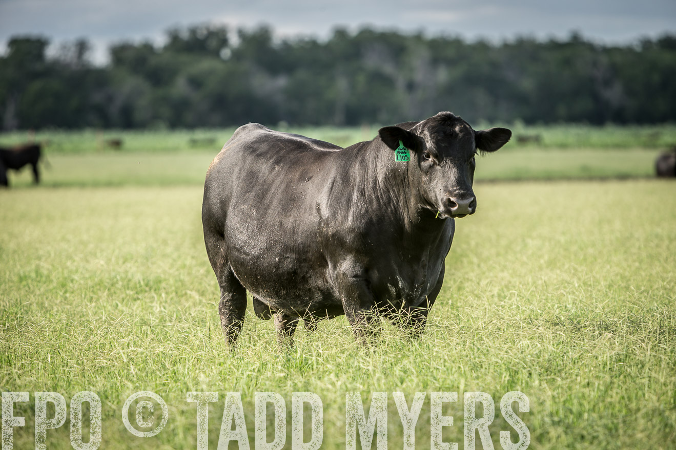 TMyers_CameronTX_June2014-1947