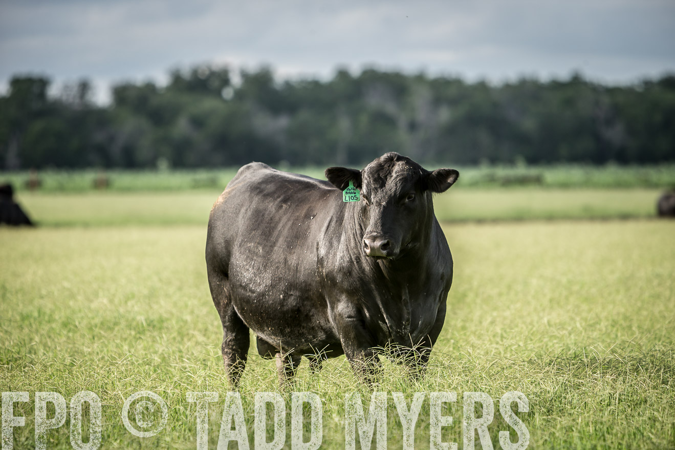 TMyers_CameronTX_June2014-1948