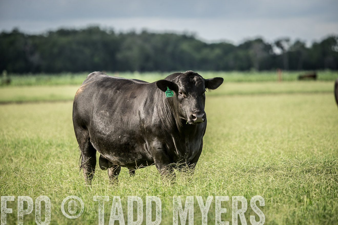 TMyers_CameronTX_June2014-1952
