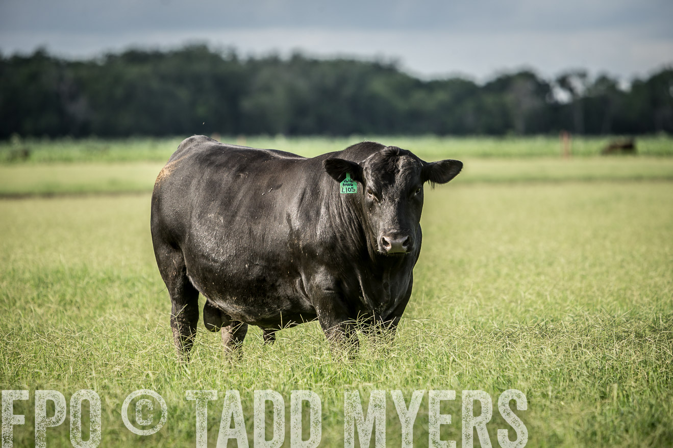 TMyers_CameronTX_June2014-1955
