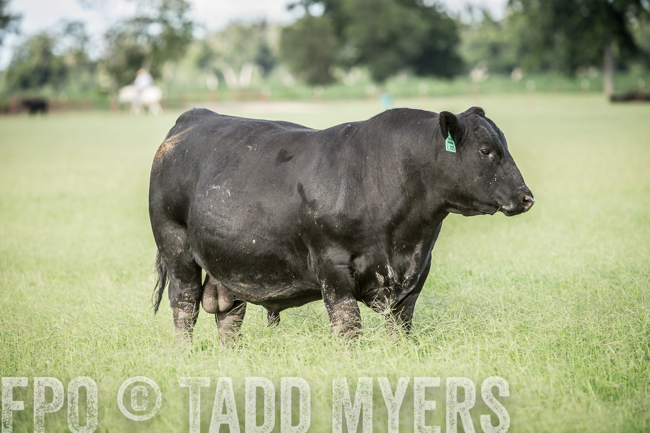 TMyers_CameronTX_June2014-1973