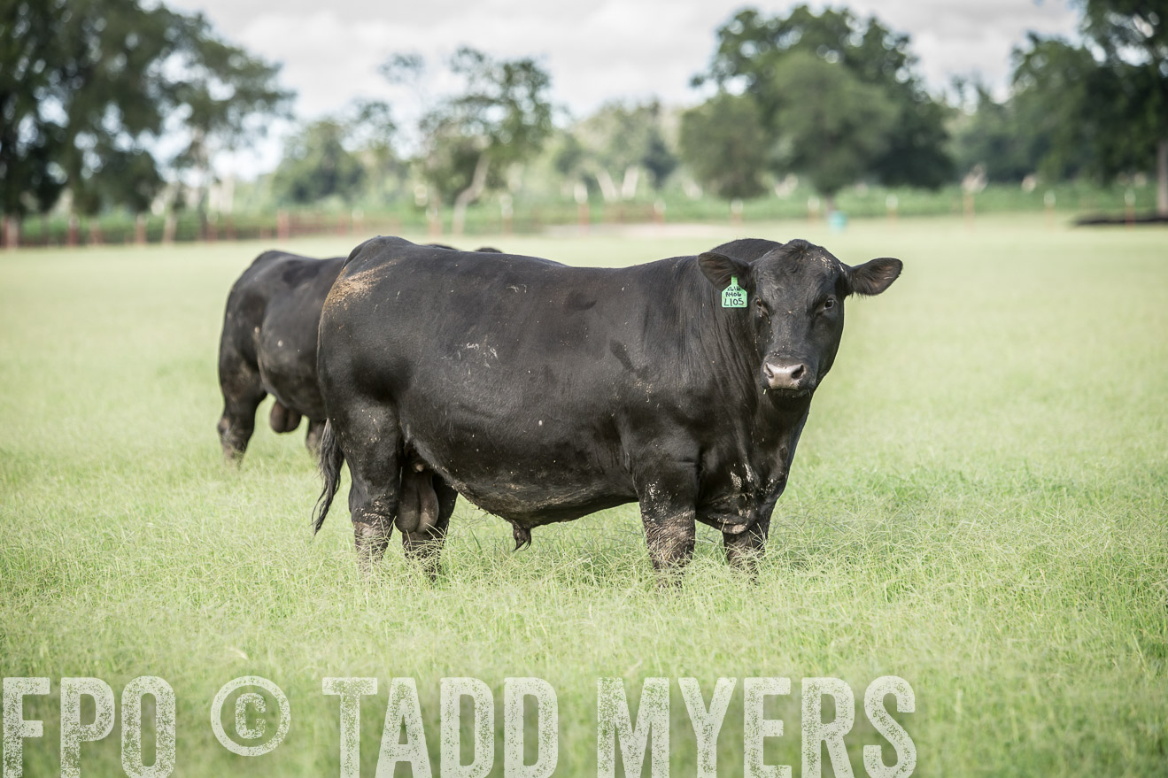 TMyers_CameronTX_June2014-1988