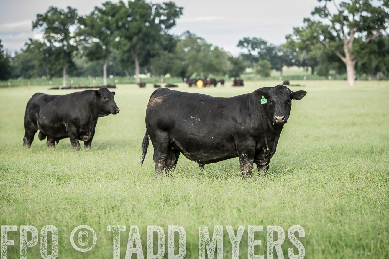 TMyers_CameronTX_June2014-1991