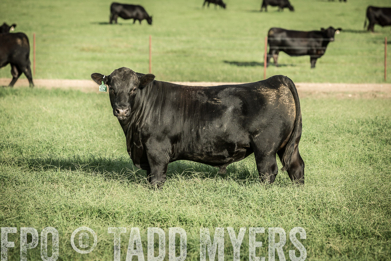 TMyers_CameronTX_June2014-2117