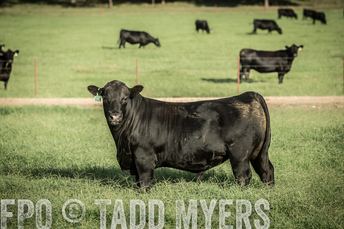 TMyers_CameronTX_June2014-2137