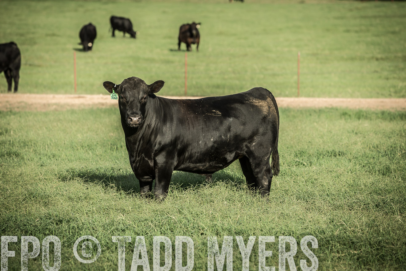 TMyers_CameronTX_June2014-2146