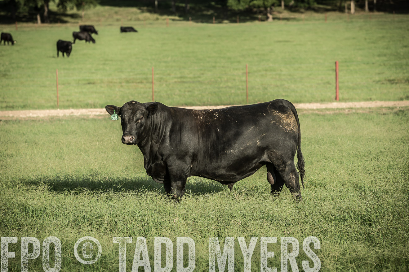 TMyers_CameronTX_June2014-2162