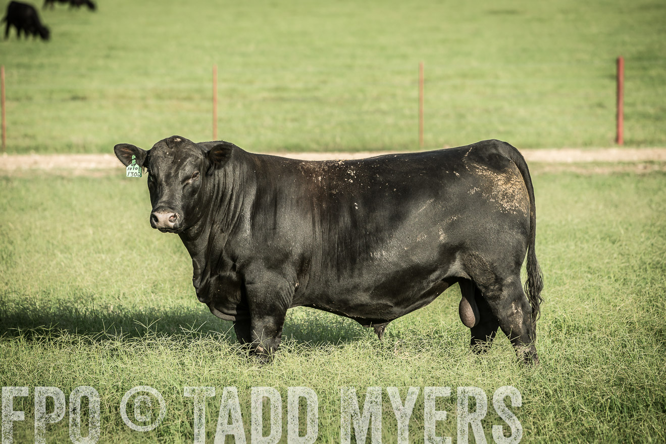 TMyers_CameronTX_June2014-2166