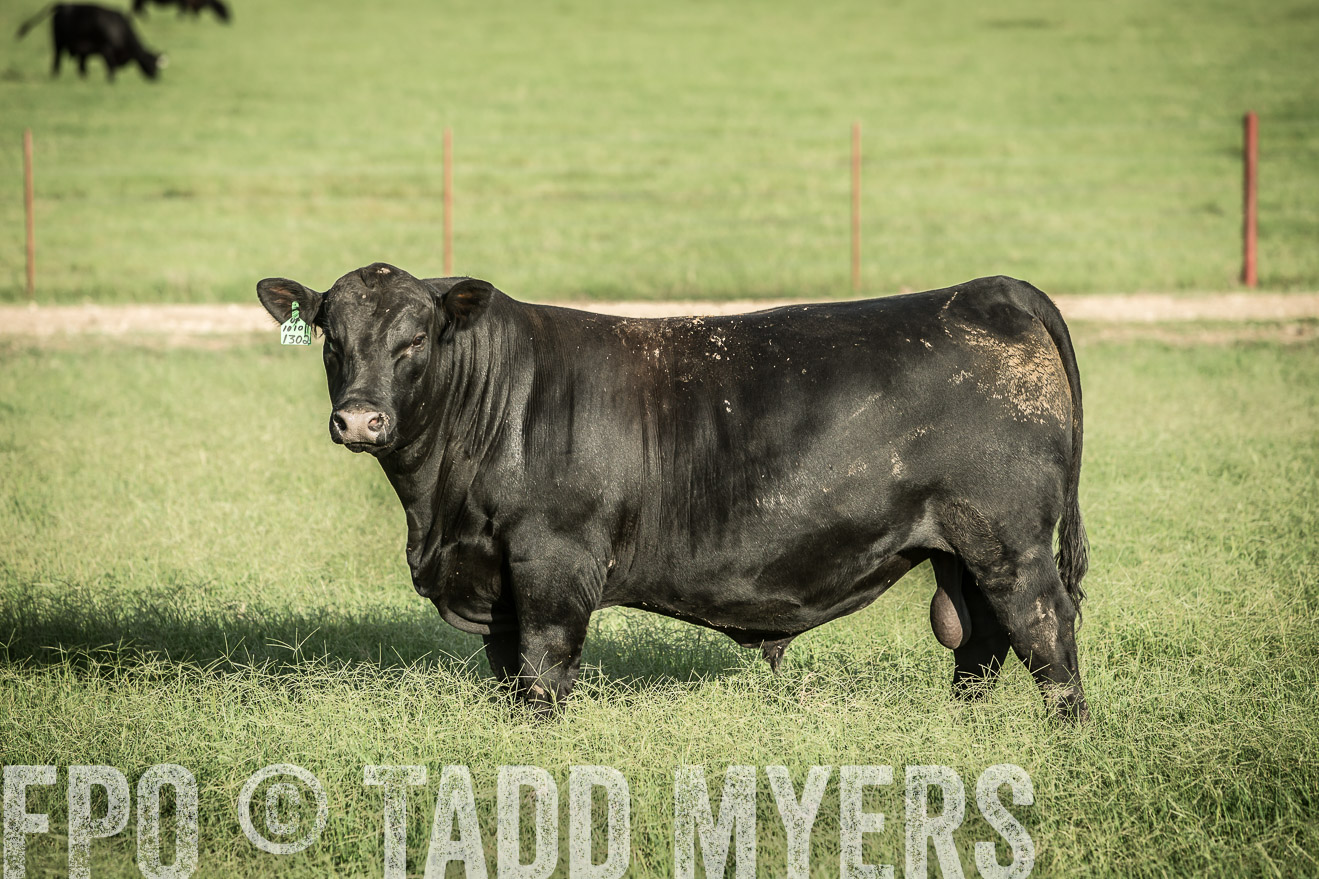 TMyers_CameronTX_June2014-2172