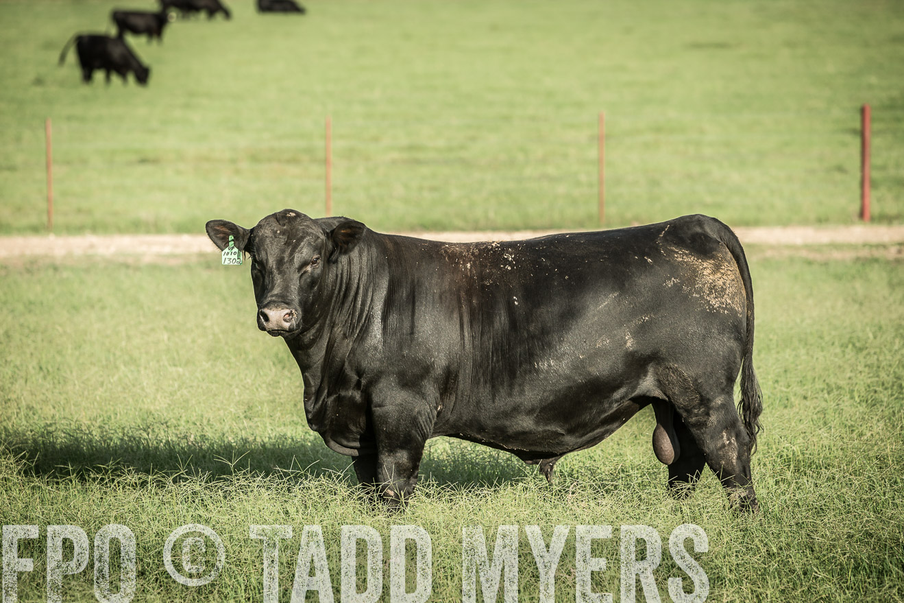 TMyers_CameronTX_June2014-2178