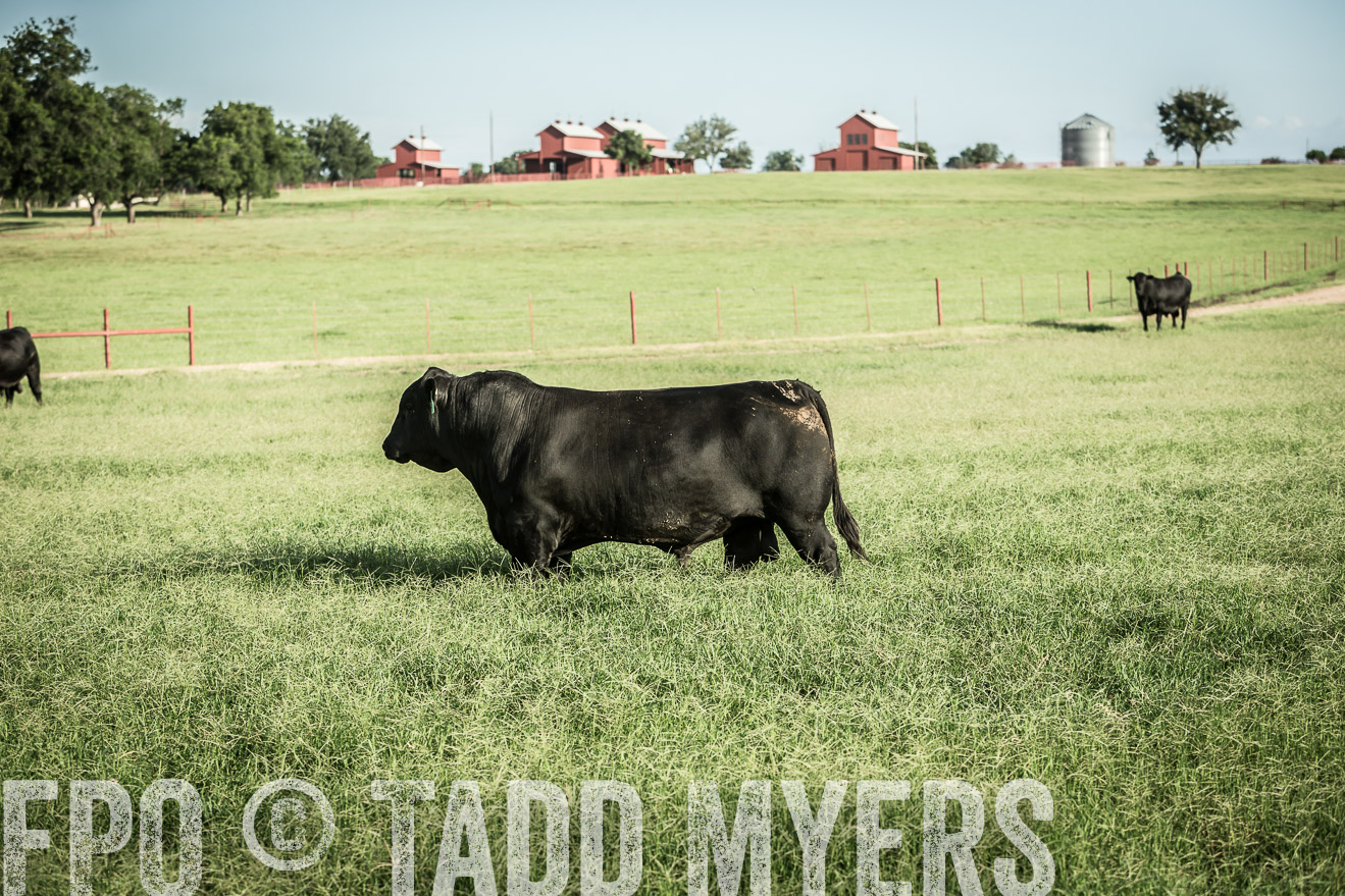 TMyers_CameronTX_June2014-2201