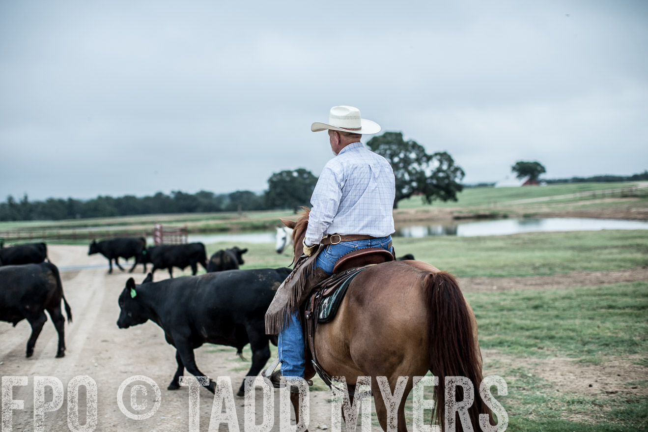 TMyers_CameronTX_June2014-6920
