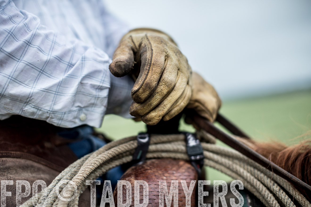 TMyers_CameronTX_June2014-6929