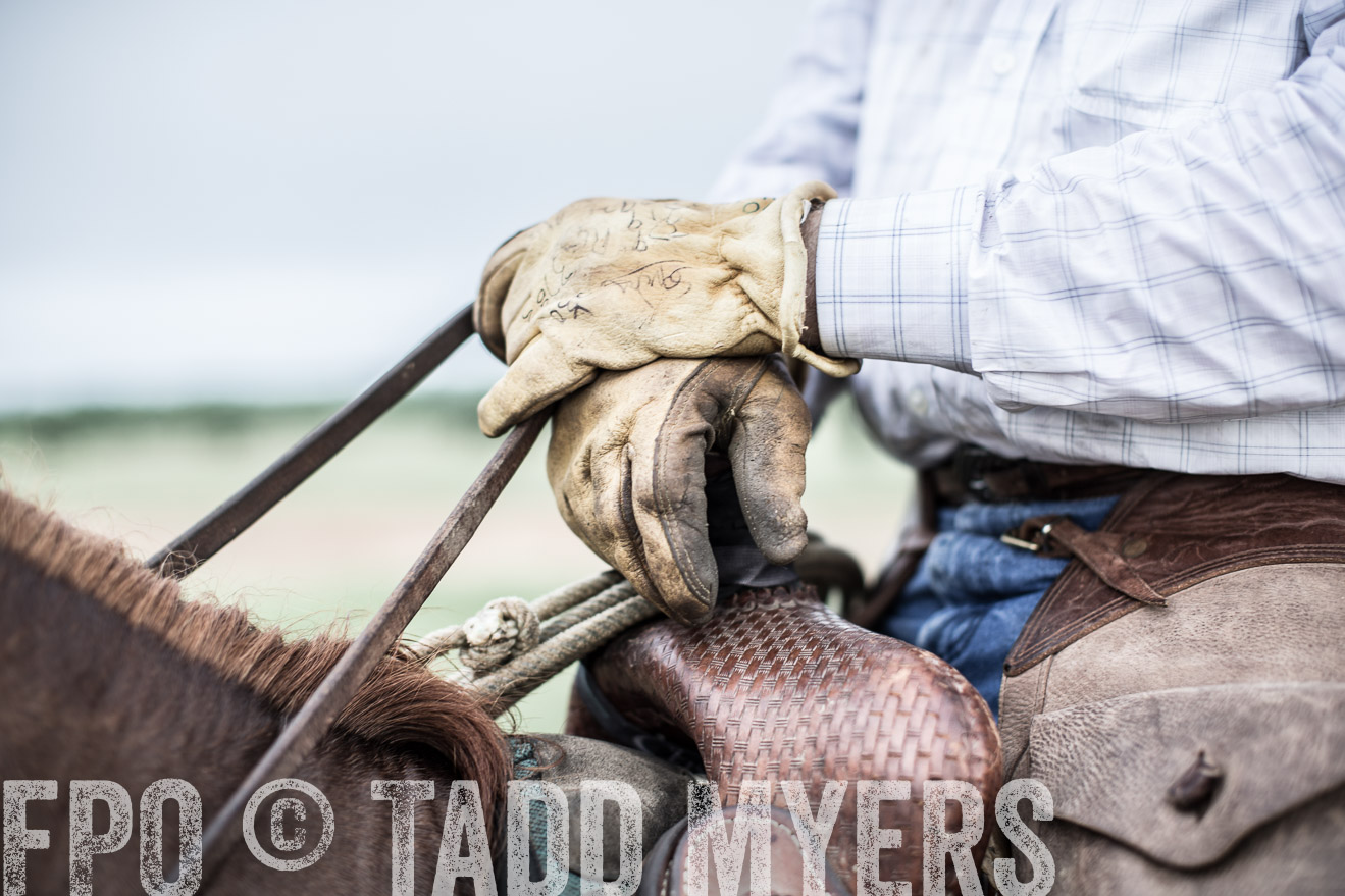 TMyers_CameronTX_June2014-7295