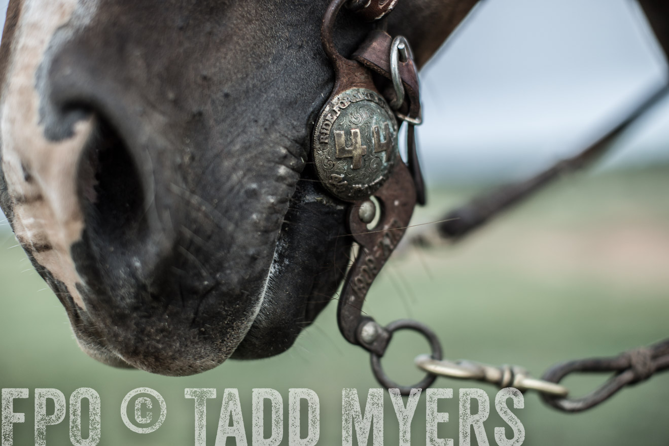 TMyers_CameronTX_June2014-7304
