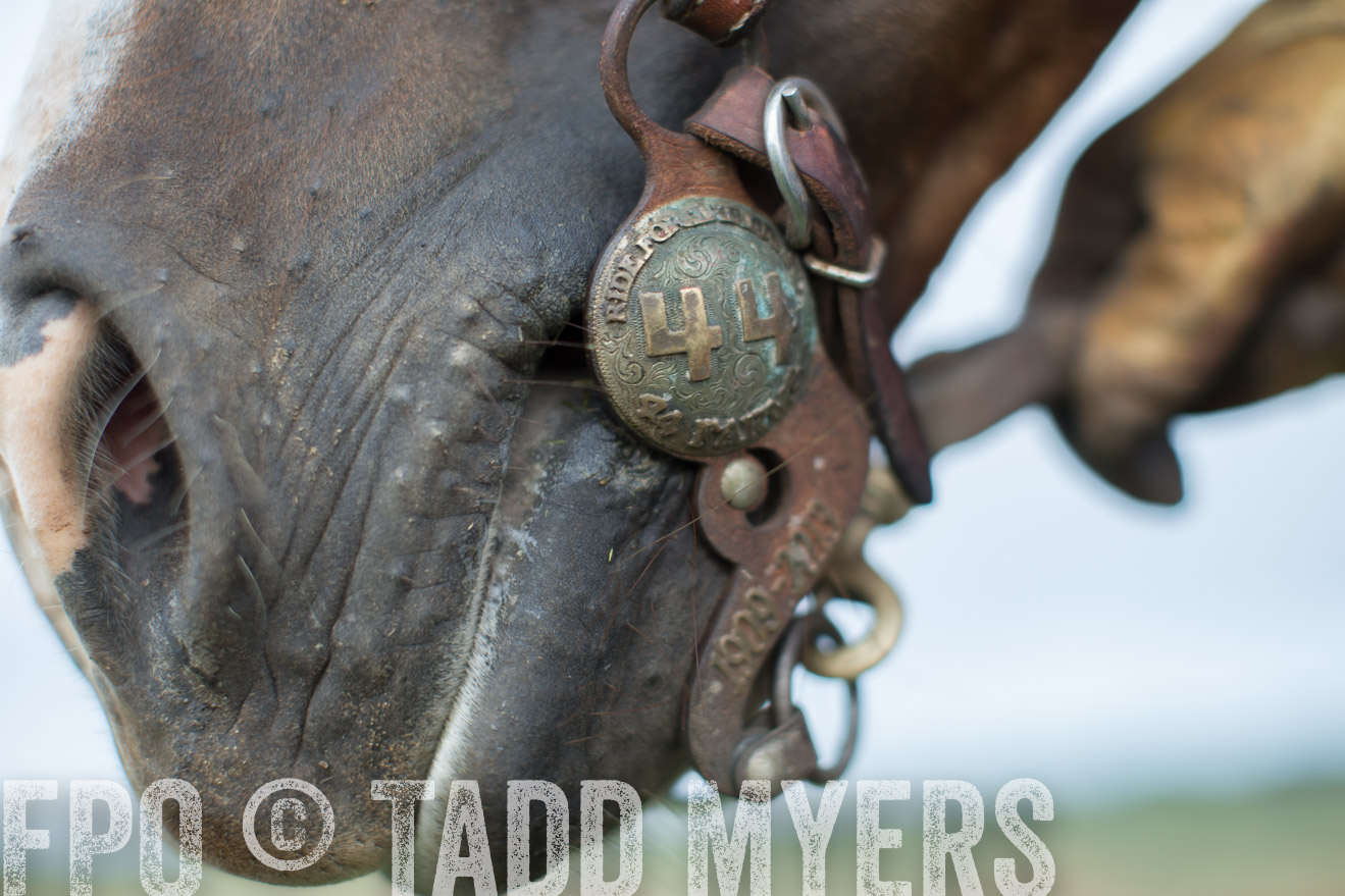 TMyers_CameronTX_June2014-7317
