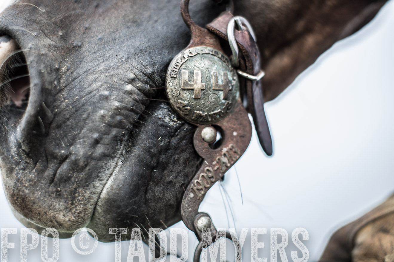 TMyers_CameronTX_June2014-7323