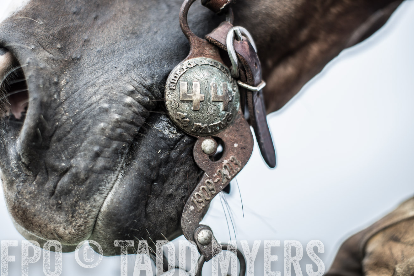TMyers_CameronTX_June2014-7324
