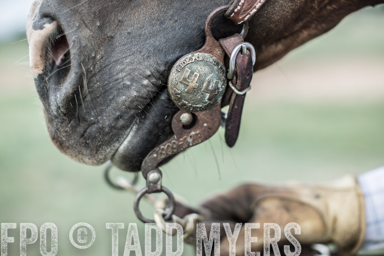 TMyers_CameronTX_June2014-7335