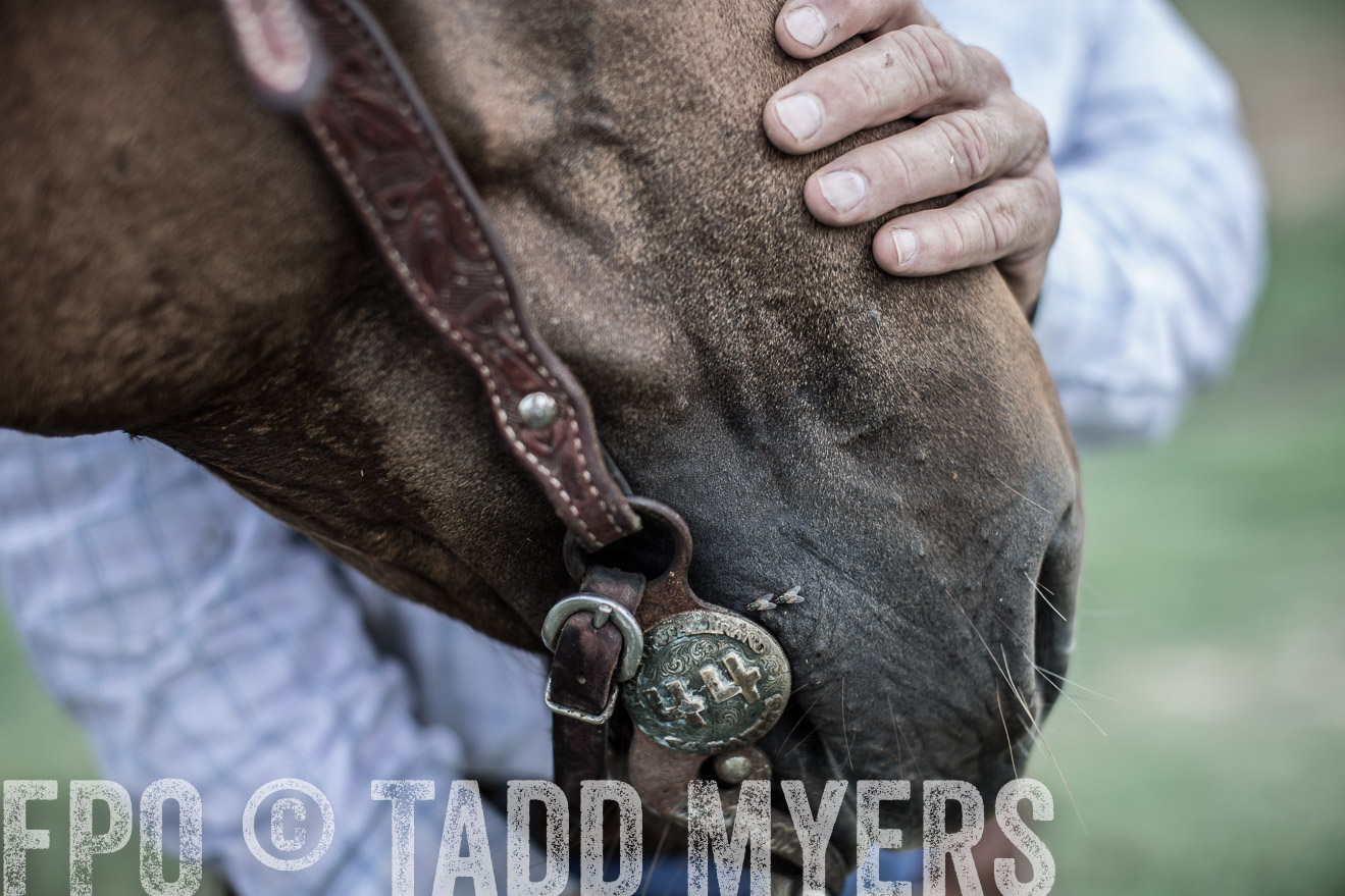 TMyers_CameronTX_June2014-7534