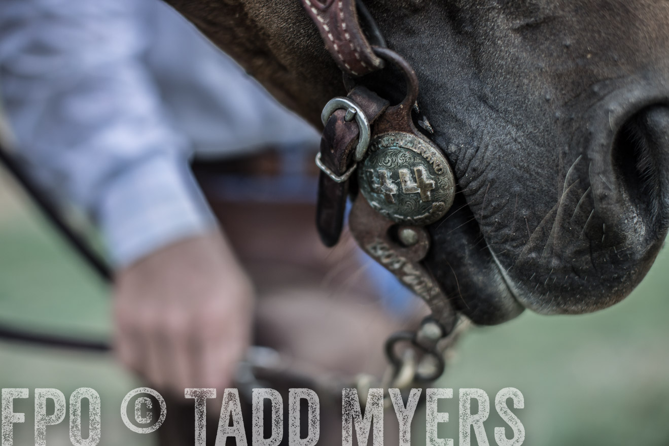 TMyers_CameronTX_June2014-7645